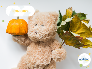 Konkurs "Misie kochają jesień"