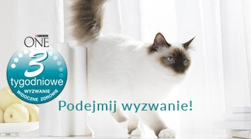 Konkurs "3-Tygodniowe Wyzwanie - Widoczne Zdrowie Jesień 2016"