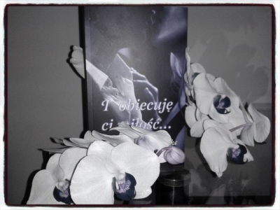 Konkurs "I obiecuję ci miłość..."