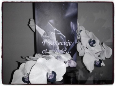 Konkurs "I obiecuję ci miłość..."