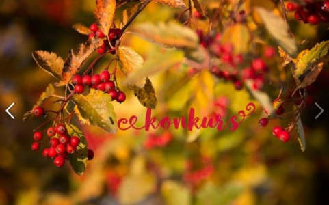 Konkurs Nazwa dla fanpage fotograficznego"