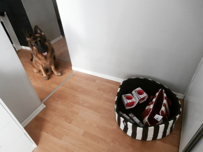 Konkurs "MAKE ME COMFY - Życie z Psem"