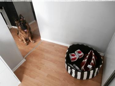 Konkurs "MAKE ME COMFY - Życie z Psem"