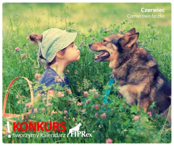 Konkurs na zdjęcie do kalendarza