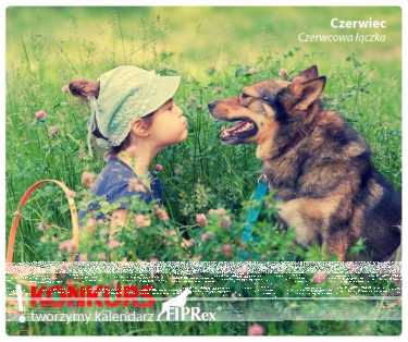 Konkurs na zdjęcie do kalendarza