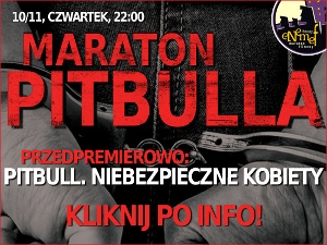 Wygraj zaproszenie na Enemef: Maraton Pitbulla, Ruda Śląska