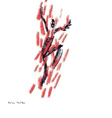 Wygraj bilety na Gaba Kulka we Wrocławiu