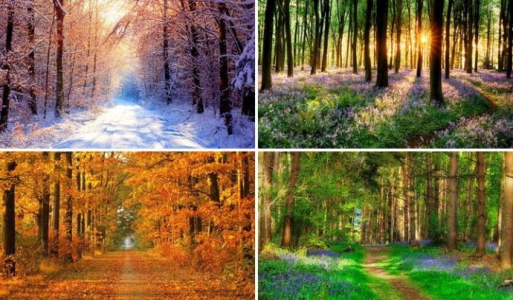 Konkurs fotograficzny "Pachnące Pory Roku"