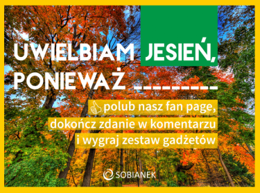 Konkurs "Uwielbiam jesień, ponieważ...."