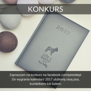 Wygraj dowolnie wybrany przez siebie kalendarz z ulubioną rasą psa, kundelkiem, kotem lub Maine Coon