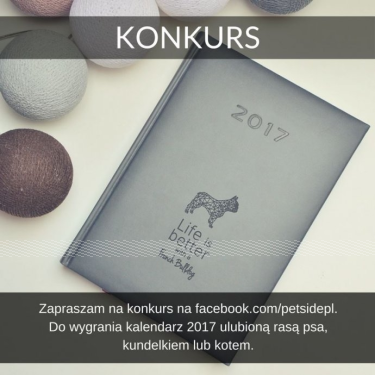 Wygraj dowolnie wybrany przez siebie kalendarz z ulubioną rasą psa, kundelkiem, kotem lub Maine Coon