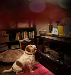 Wygraj spłatę pożyczki