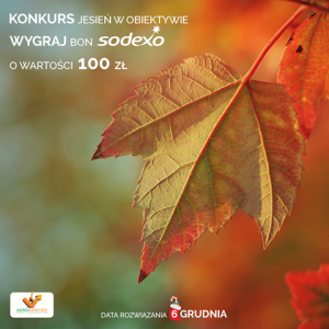 Konkurs fotograficzne "Agrobankier: Jesień w obiektywie"