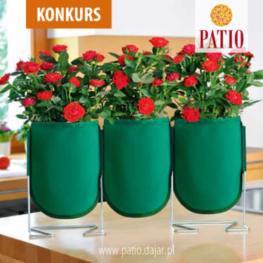 Konkurs "Najpiękniejsze kwiaty"