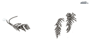 Wygraj biżuterię ORSKA!