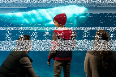 Konkurs: wygraj płyty z filmami od Calisia.pl, Kaliss