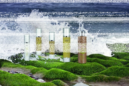 Konkurs "Mikołajki z Seaweex"