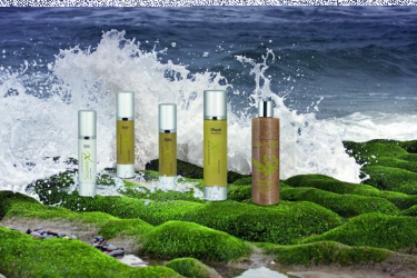 Konkurs "Mikołajki z Seaweex"