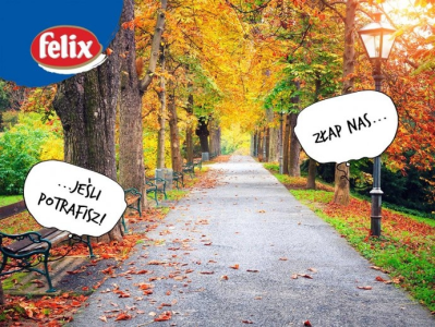 Konkurs fotograficzny "Felix i wiewiórka"