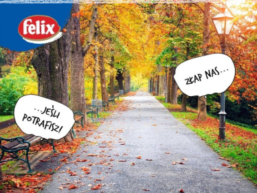 Konkurs fotograficzny "Felix i wiewiórka"