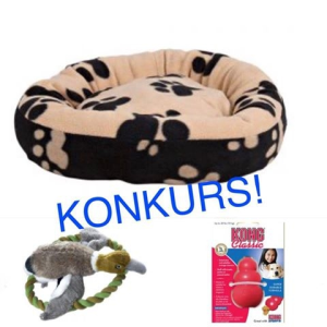 Konkurs miłośników przyjaciół z czterema łapami i merdającymi ogonkami