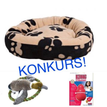 Konkurs miłośników przyjaciół z czterema łapami i merdającymi ogonkami