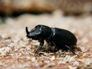 Konkurs "Grudzień 2016"