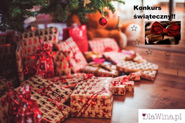 Konkurs "Dlawina.pl pod choinką"