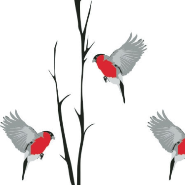 Konkurs z CottonBee.pl