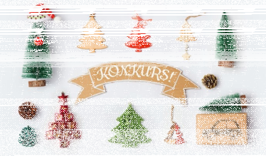 Mikołajkowy konkurs z Palmers