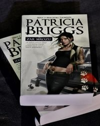 Konkurs z "Żarem mrozu"