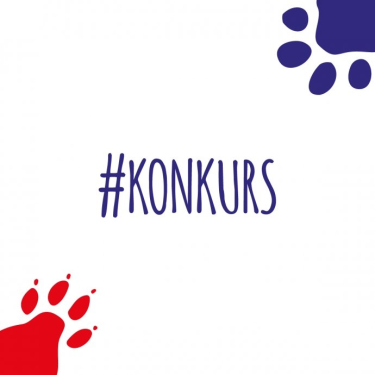 Konkurs "Świąteczne porządki"