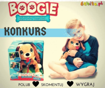 Wygraj BOOGIE "Psi rozrabiaka"