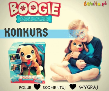 Wygraj BOOGIE "Psi rozrabiaka"