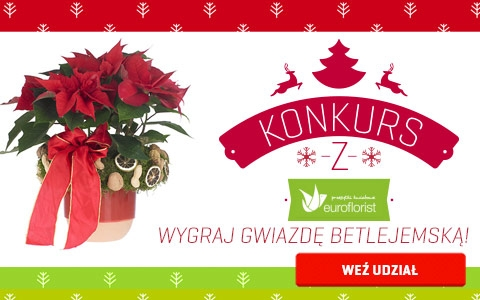 Wygraj Gwiazdę Betlejemską