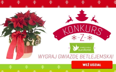Wygraj Gwiazdę Betlejemską