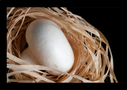 Konkurs "Pieczarkowe inspiracje"