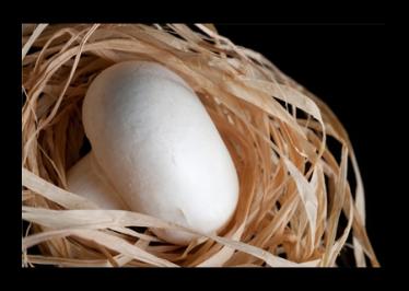 Konkurs "Pieczarkowe inspiracje"