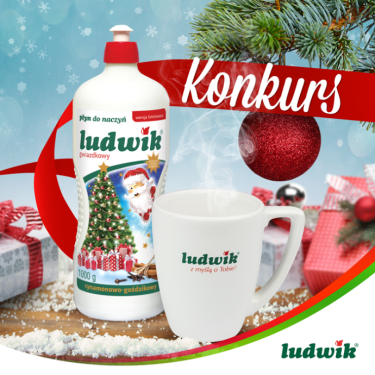 Konkurs "Świąteczne porządki"