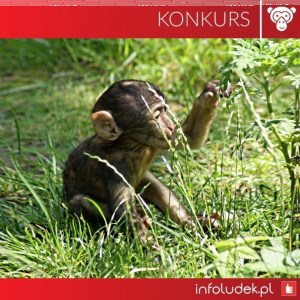 Wygraj bilety do zoo, do godz. 22:00