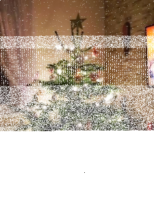 Konkurs na najpiękniejszą choinkę Agrogobex