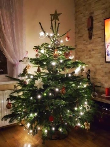 Konkurs na najpiękniejszą choinkę Agrogobex