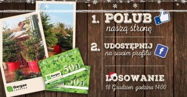 Wygraj świąteczne choinki od Gargas rośliny