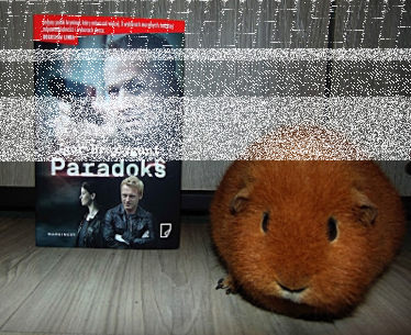 Konkurs "Przygarnij książkę, zrecenzuj książkę"