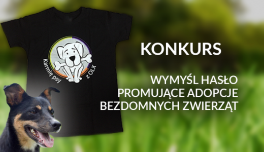 Konkurs "Nakarm psa z OLX" do godz. 13:00