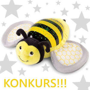 Konkurs "Rozdanie z wozkiifoteliki.pl"