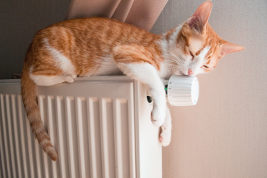 Konkurs z chemią domową