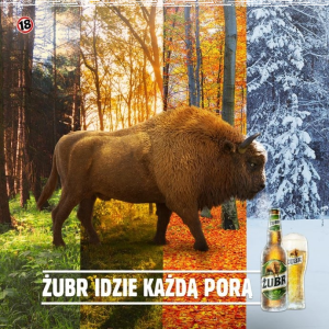 Konkurs "Żubr idzie swoją porą" 18+