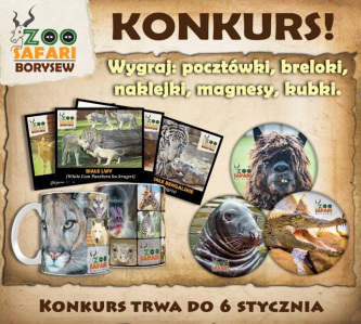 Konkurs Noworoczny Zoo Safari Borysew
