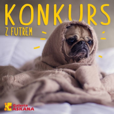 Wygraj bilety do Heliosa! Gorzów Wielkopolski